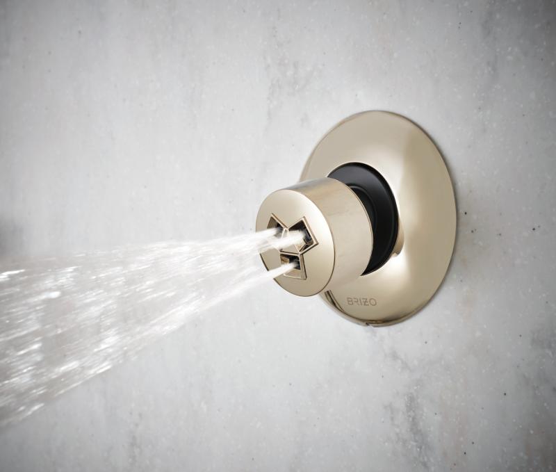 BRIZO Essential Shower Hydrachoice Max Round Body Spray Trim — Polished Nickel