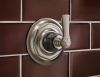 BRIZO Rook 6-Function Diverter Trim — Luxe Nickel  /Matte Black