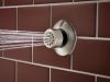 BRIZO Essential Shower Hydrachoice Max Round Body Spray Trim — Luxe Nickel