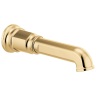 Polished Gold