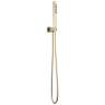 Polished Nickel