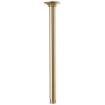 Luxe Gold