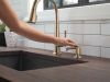 DELTA Emmeline Single Handle Pull-Down Kitchen Faucet — Lumicoat® Champagne Bronze