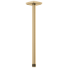 Luxe Gold
