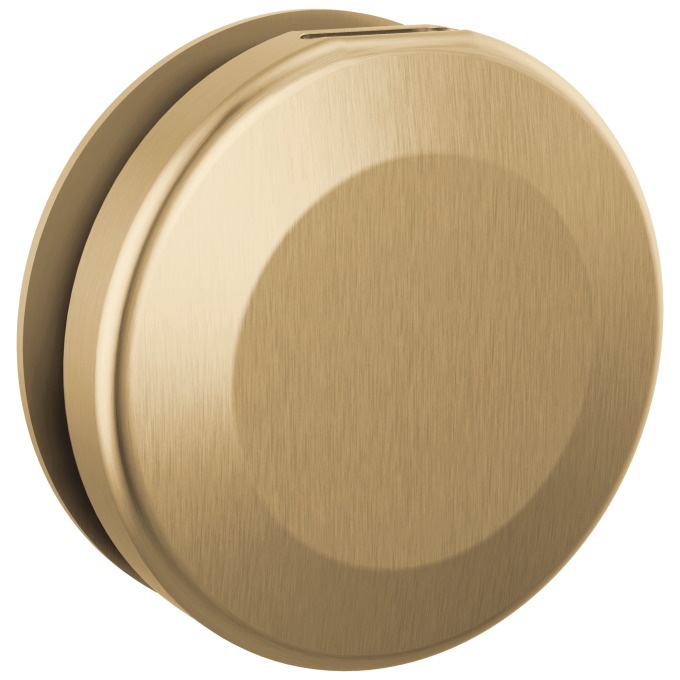 DELTA Universal Showering Components Round Steam Head — Lumicoat® Champagne Bronze