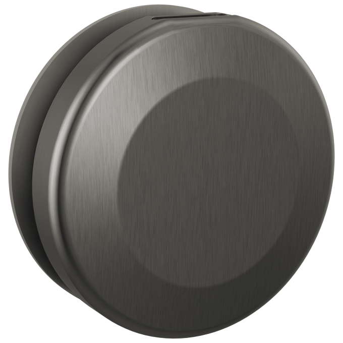 DELTA Universal Showering Components Round Steam Head — Lumicoat® Black Stainless