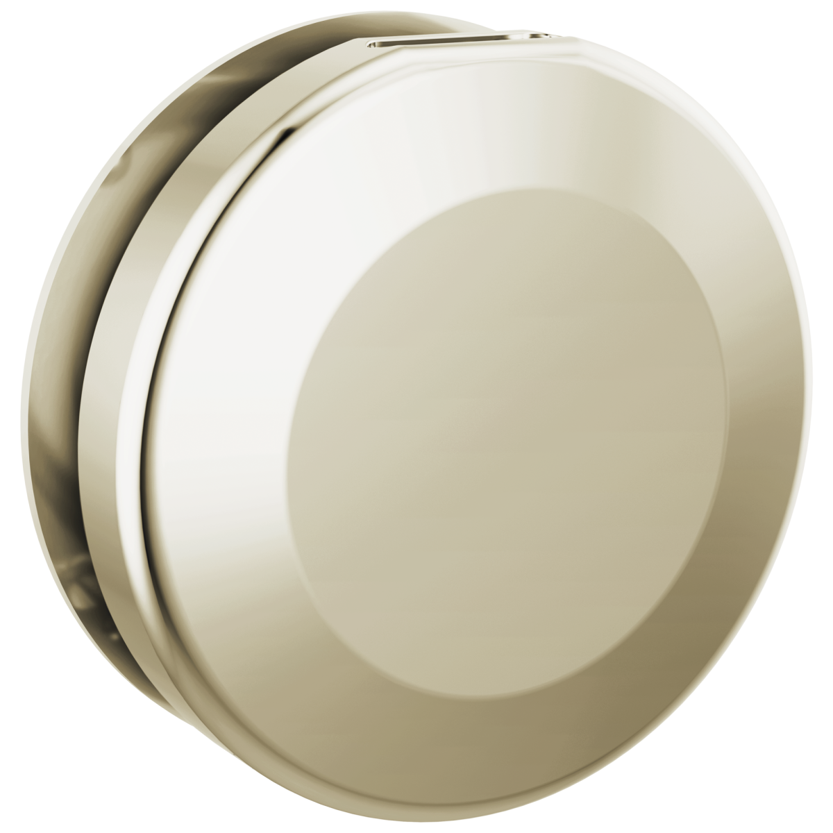 DELTA Universal Showering Components Round Steam Head — Lumicoat® Polished Nickel