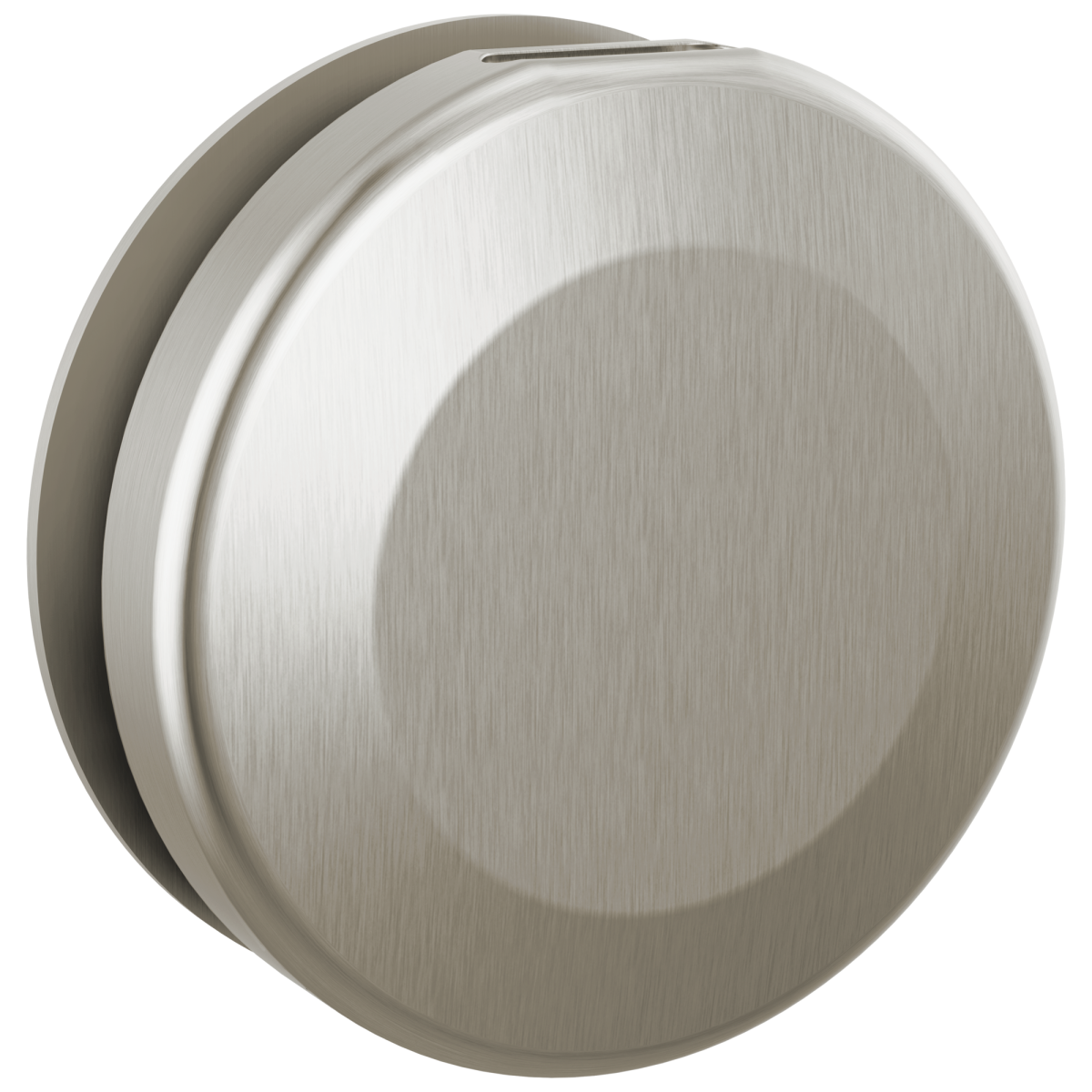 DELTA Universal Showering Components Round Steam Head — Lumicoat® Stainless