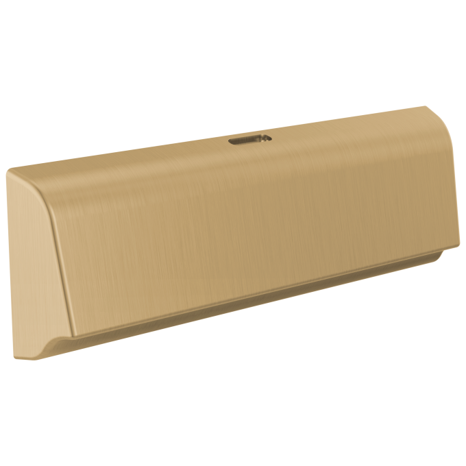 DELTA Universal Showering Components Unilateral Steam Head — Lumicoat® Champagne Bronze