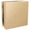 Polished Gold