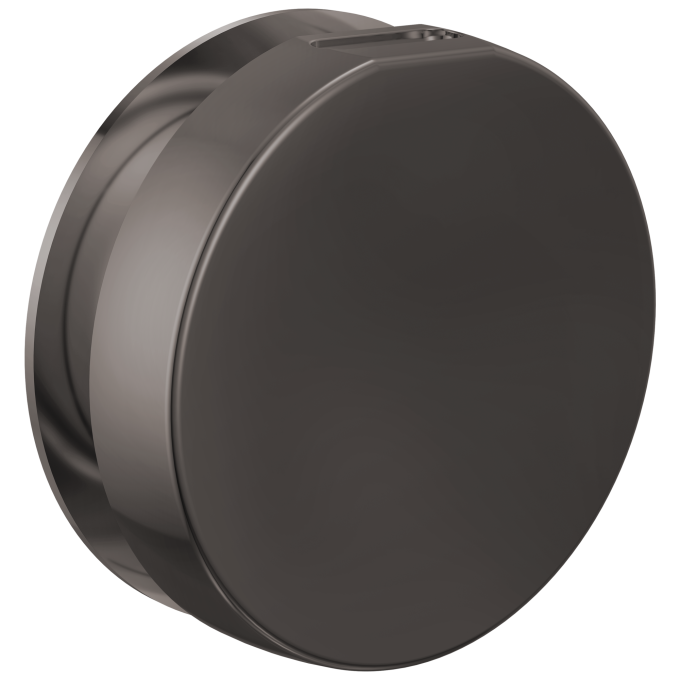 BRIZO Other Mystix Round Steam Head — Brilliance Black Onyx