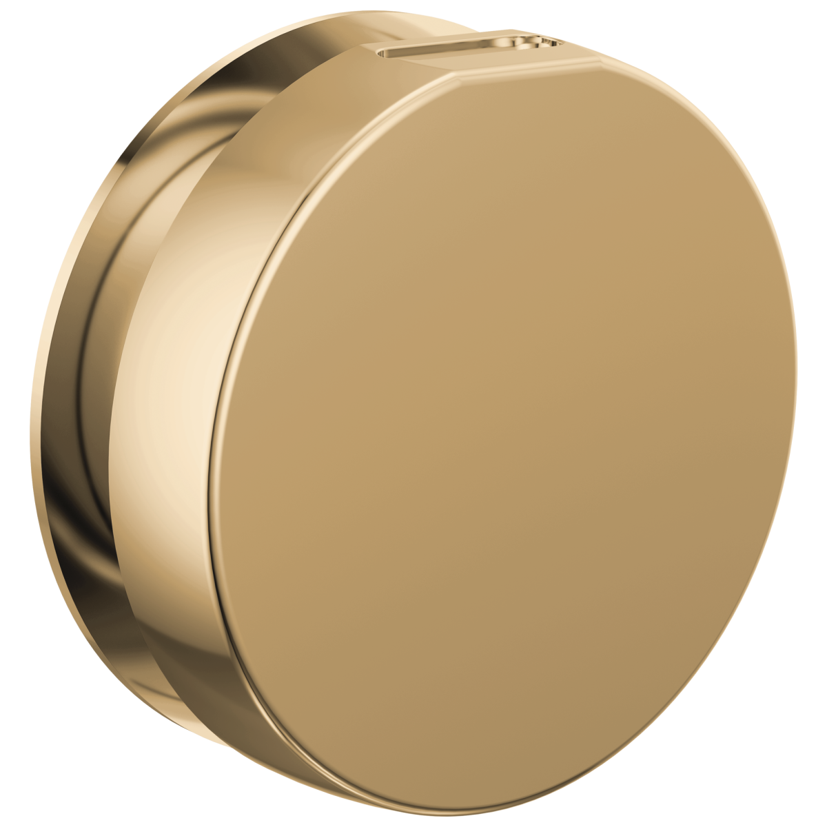 BRIZO Other Mystix Round Steam Head — Polished Gold