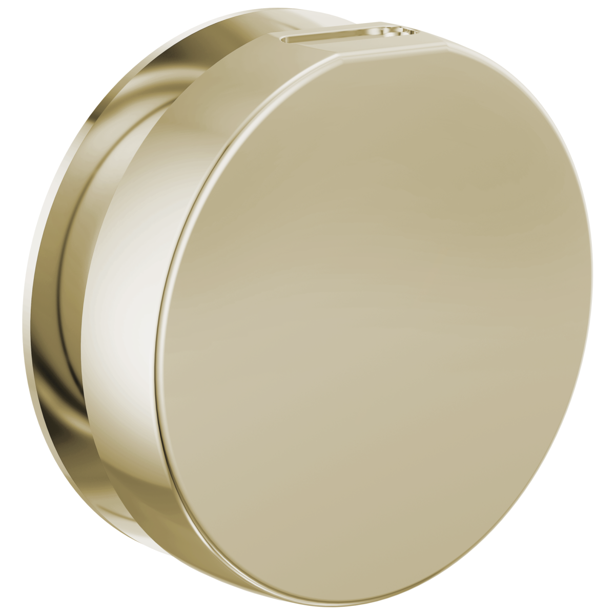 BRIZO Other Mystix Round Steam Head — Polished Nickel