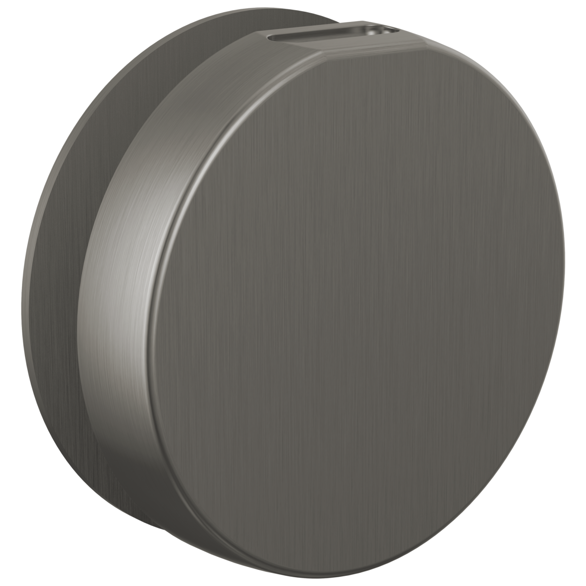 BRIZO Other Mystix Round Steam Head — Luxe Steel