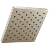 Spotshield Brushed Nickel