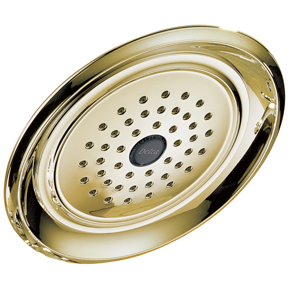 DELTA Universal Showering Components Single-Setting Raincan Shower Head — Polished Brass