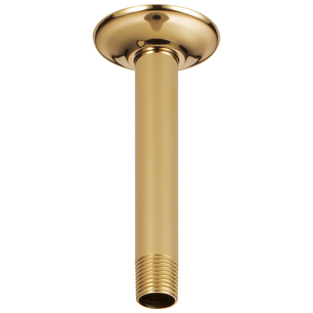 BRIZO Essential Shower 6" Ceiling Mount Shower Arm And Round Flange — Polished Gold