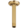 Polished Gold