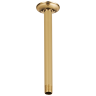 Polished Gold