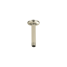 Polished Nickel