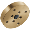 Champagne Bronze
