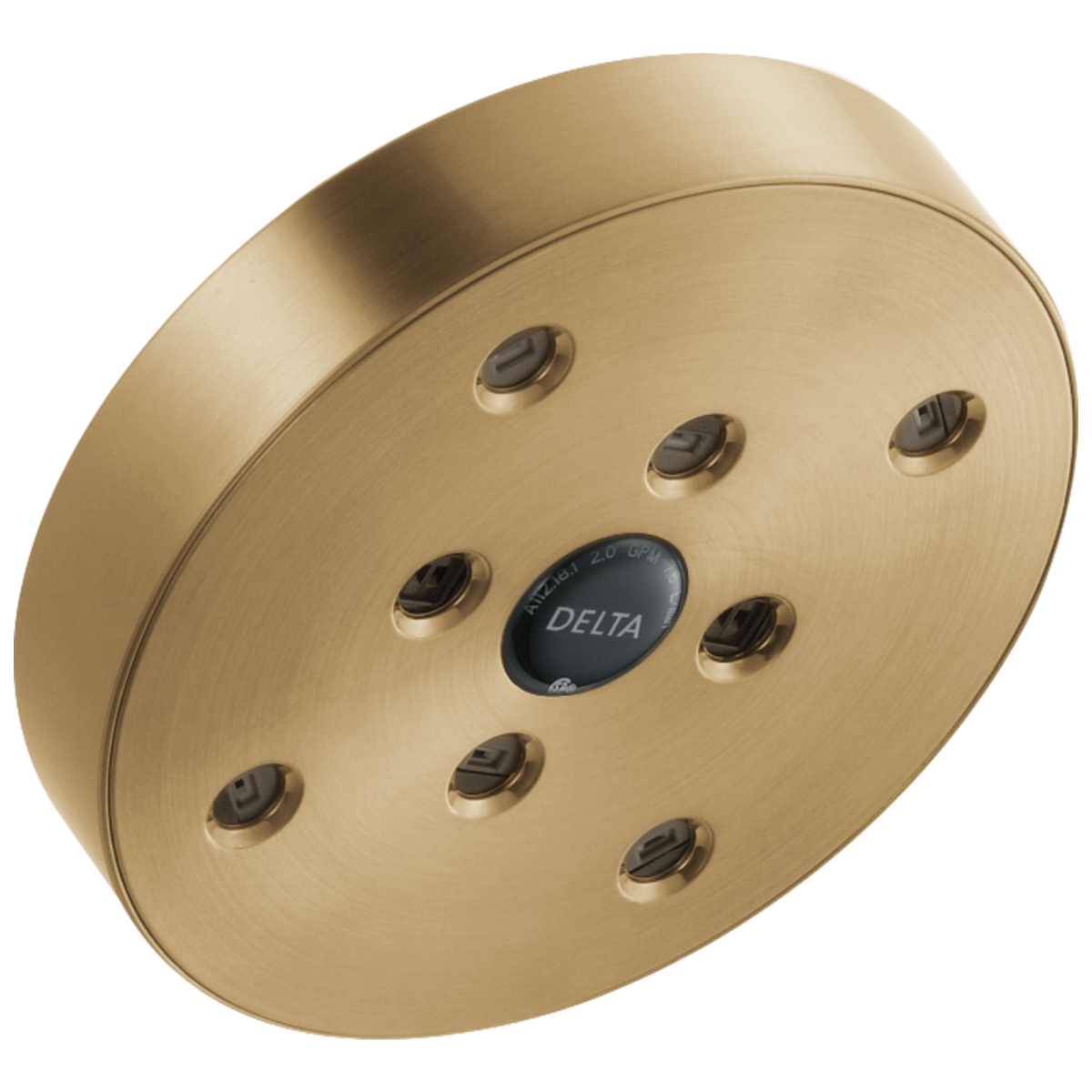 DELTA Universal Showering Components H2OKINETIC Single-Setting Raincan Shower Head — Lumicoat® Champagne Bronze
