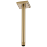 Luxe Gold