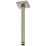 Polished Nickel
