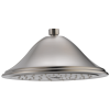 DELTA Universal Showering Components Single-Setting Raincan Shower Head — Stainless