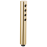 Polished Gold