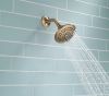 DELTA Universal Showering Components 5-Setting Raincan Shower Head — Champagne Bronze