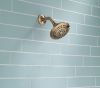 DELTA Universal Showering Components 5-Setting Raincan Shower Head — Champagne Bronze