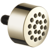 DELTA Other Touch-Clean Spray Head — Lumicoat® Polished Nickel