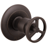 Venetian Bronze