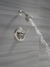 DELTA Classic Monitor 13 Series Shower Trim — Stainless