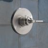 DELTA Saylor Monitor 14 Series Valve Only Trim — Stainless