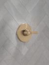 DELTA Lineax Monitor 14 Series Valve Only Trim — Champagne Bronze