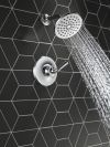 DELTA Kayra Monitor 14 Series Shower Trim — Chrome