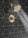 DELTA Saylor Monitor 14 Series Shower Trim — Champagne Bronze