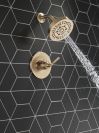 DELTA Saylor Monitor 14 Series Shower Trim — Champagne Bronze
