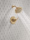 DELTA Altado Monitor 14 Series Shower Trim — Champagne Bronze
