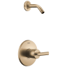 Champagne Bronze