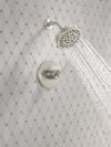 DELTA Altado Monitor 14 Series Shower Trim — Stainless