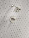 DELTA Altado Monitor 14 Series Shower Trim — Stainless