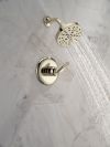 DELTA Bonacci 14 Series Shower Trim — Lumicoat® Polished Nickel