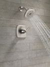 DELTA Ashlyn Monitor 14 Series Shower Trim — Stainless
