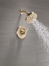 DELTA Tetra 14 Series Shower Trim — Lumicoat® Champagne Bronze