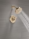 DELTA Tetra 14 Series Shower Trim — Lumicoat® Champagne Bronze