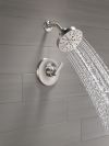 DELTA Tetra 14 Series Shower Trim — Lumicoat® Stainless
