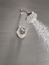 DELTA Tetra 14 Series Shower Trim — Lumicoat® Stainless